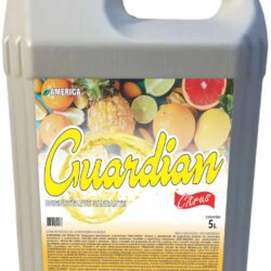 DESINFETANTE SANEANTE GUARDIAN CITRUS 5L